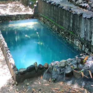 natural pool