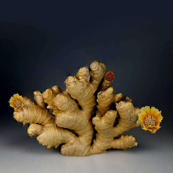 GINGER (1 kg)