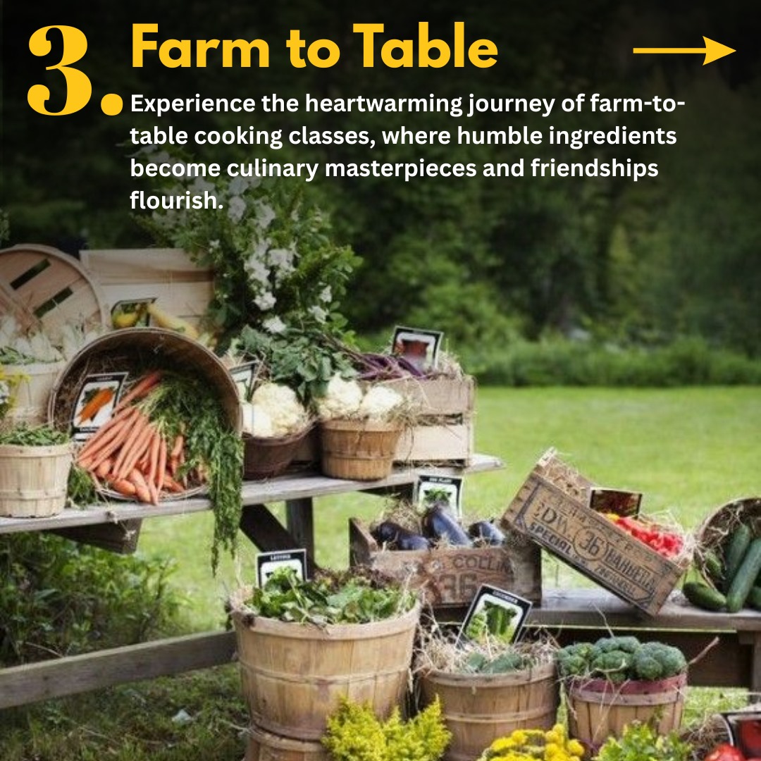Agri Camp Image 4